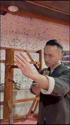Master tu tengyao